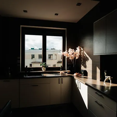 Maya's Flats & 105 - Przestronny Apartamen 아파트