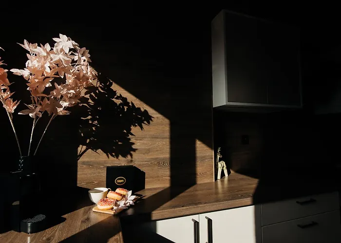 شقة Maya's Flats & 105 - Przestronny Apartamen