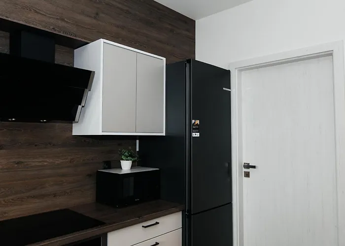 Maya's Flats & 105 - Przestronny Apartamen شقة غدانسك